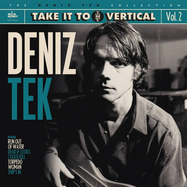 DENIZ TEK Take it to the Vertical Collection Vol. 2 LP
